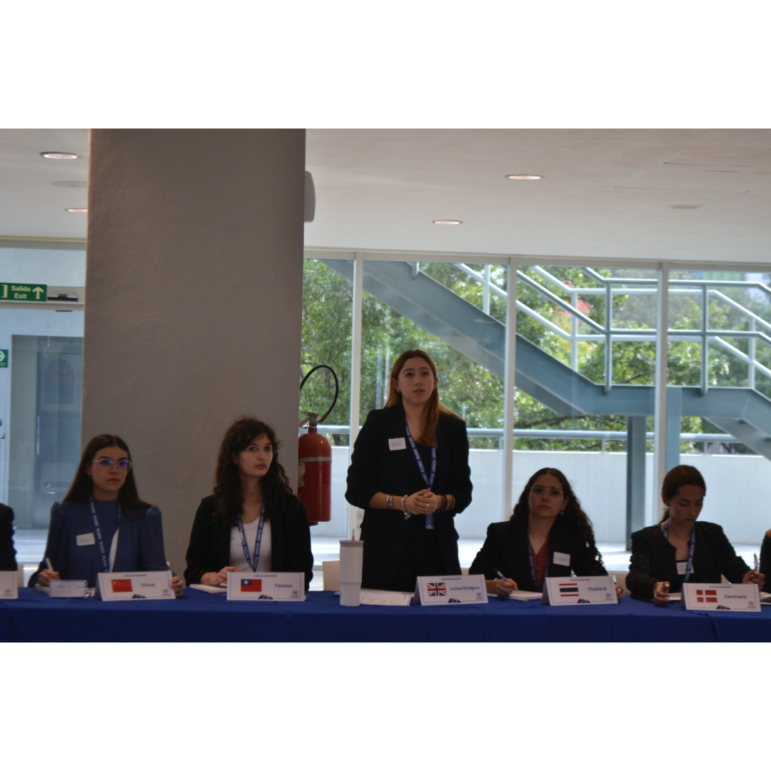 MUNMX committee session with country representatives